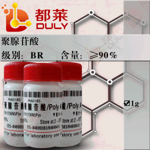 聚腺苷酸/多聚腺苷酸/Poly A
