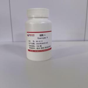 辅酶 A—85-61-0
