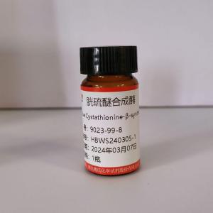 胱硫醚合成酶/9023-99-8