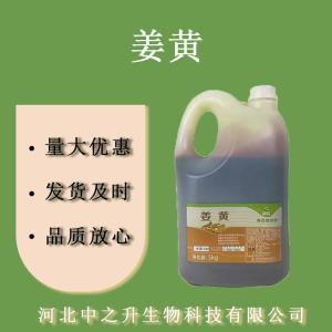姜黃色素 食品級姜黃色素醬鹵肉制品著色劑 姜黃色素歡迎訂購