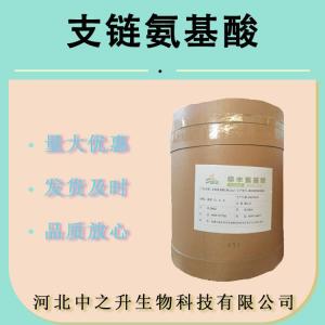 现货 支链氨基酸2:1:1 支链氨基酸粉速溶 食品级 支链氨基酸 BCAA