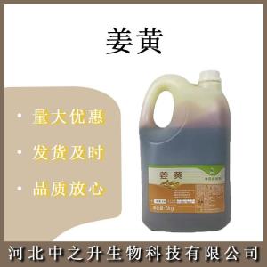 姜黃色素食品級姜黃色素 醬鹵肉制品著(zhù)色劑 姜黃色素歡迎訂購