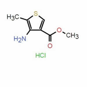 4-氨基-5-甲基噻吩-3-羧酸甲酯鹽酸鹽；CAS： 66319-02-6