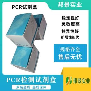 逆转录酶 产品图片