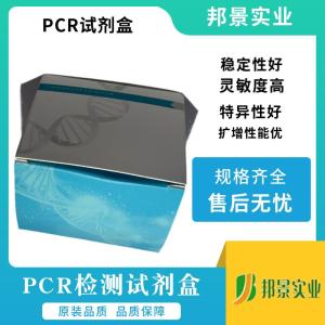 中量血浆DNA磁珠法提取试剂盒(M) 产品图片