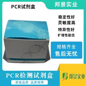 DNA纯化柱 产品图片