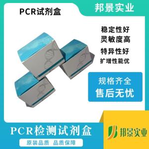 琼脂糖凝胶纯化回收试剂盒 ( 磁珠法） 产品图片