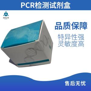 PolyA聚合酶 产品图片