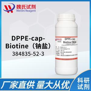 魏氏试剂  DPPE-cap-Biotine（钠盐）—384835-52-3