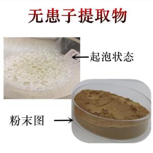 无患子提取物   泡沫丰富  无患子皂甙