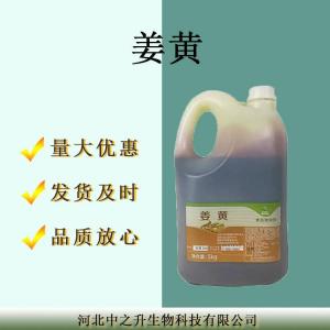 現貨供應食品級色素姜黃色素