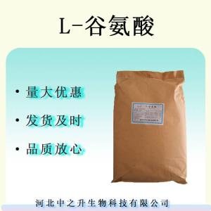 L-谷氨酸 食品级营养强化剂鲜味剂增味剂 L-谷氨酸