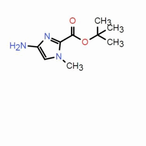 4-氨基-1-甲基-1H-咪唑-2-羧酸叔丁酯；CAS：1238706-89-2