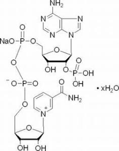 氧化型辅酶Ⅱ单钠盐