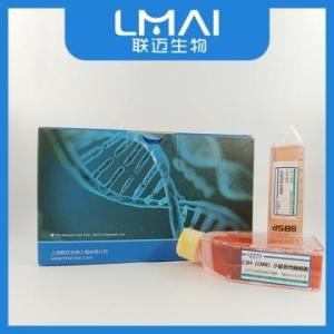 HMC-1人肥大细胞/HMC1 Cell 细胞形态 产品图片