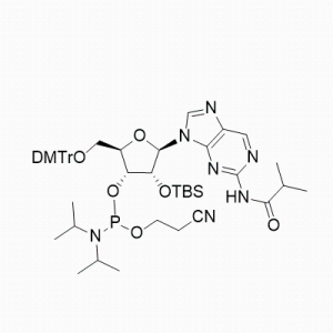 2-Aminopurine riboside  amidite 产品图片