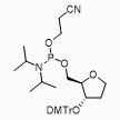 invAb phosphoramidite 产品图片