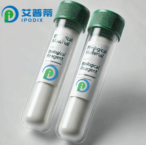 ACPP蛋白;高活性ACPP protein 产品图片