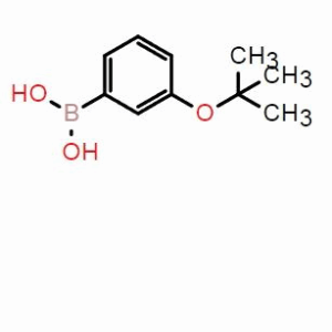 (3-(叔丁氧基)苯基)硼酸；CAS：312931-06-9