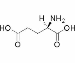 D-谷氨酸6893-26-1