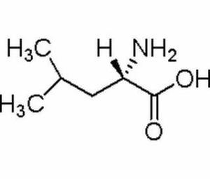 L-亮氨酸（白氨酸）61-90-5