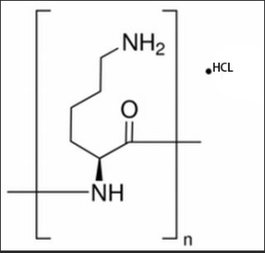 多聚左旋赖氨酸25988-63-0