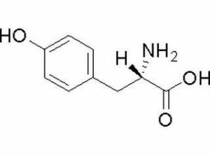 L-酪氨酸60-18-4