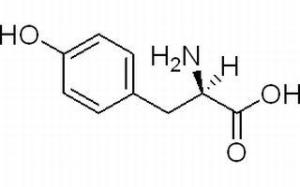 D-酪氨酸556-02-5