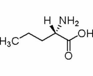 L-正缬氨酸6600-40-4