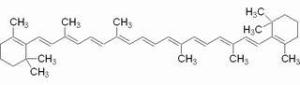 β-胡萝卜素7235-40-7