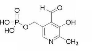 磷酸吡哆醛一水物41468-25-1