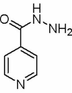 异烟肼54-85-3