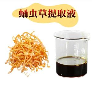 蛹虫草浸膏  蛹虫草提取液