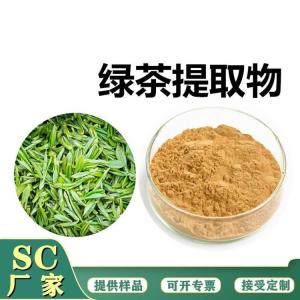 绿茶粉 绿茶提取物 抹茶粉 茶多酚 多规格水溶粉末 茶叶茶氨酸