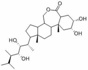 24-表油菜素内酯78821-43-9