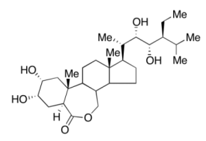 28-表高油菜素内酯80483-89-2