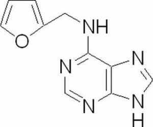6-糠氨基嘌呤525-79-1