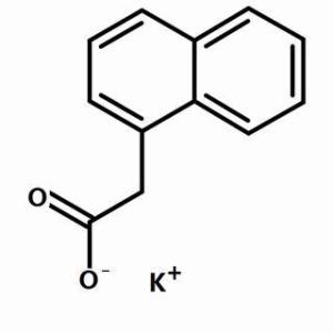 α-萘乙酸钾15165-79-4