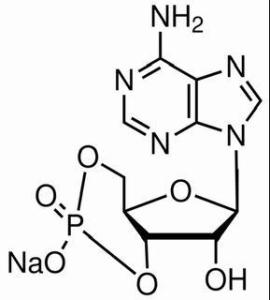 环磷酸腺苷钠盐37839-81-9