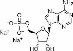 5-腺苷一磷酸二钠盐4578-31-8