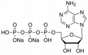 5-腺苷三磷酸二钠盐987-65-5