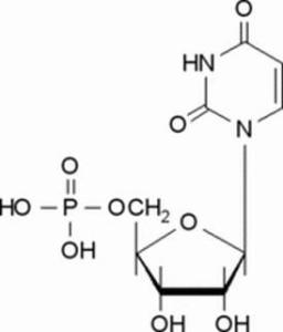 5-尿苷一磷酸58-97-9