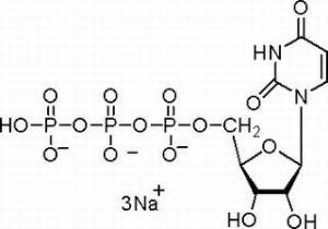 5-尿苷三磷酸三钠盐19817-92-6