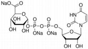 尿苷二磷酸葡糖醛酸63700-19-6