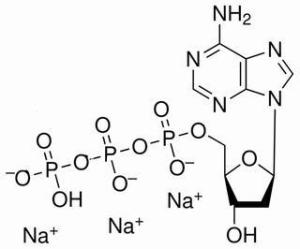 2′-脱氧腺苷-5′-三磷酸三钠盐54680-12-5