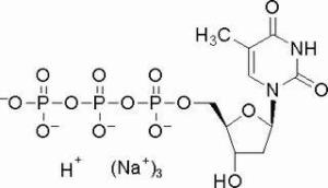 2′-脱氧胸苷-5′-三磷酸三钠盐18423-43-3