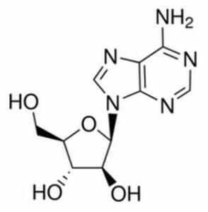 阿糖腺苷5536-17-4