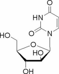 阿糖-尿苷3083-77-0