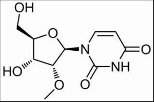 2′-甲氧基尿苷2140-76-3