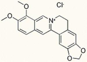 盐酸小檗碱633-65-8